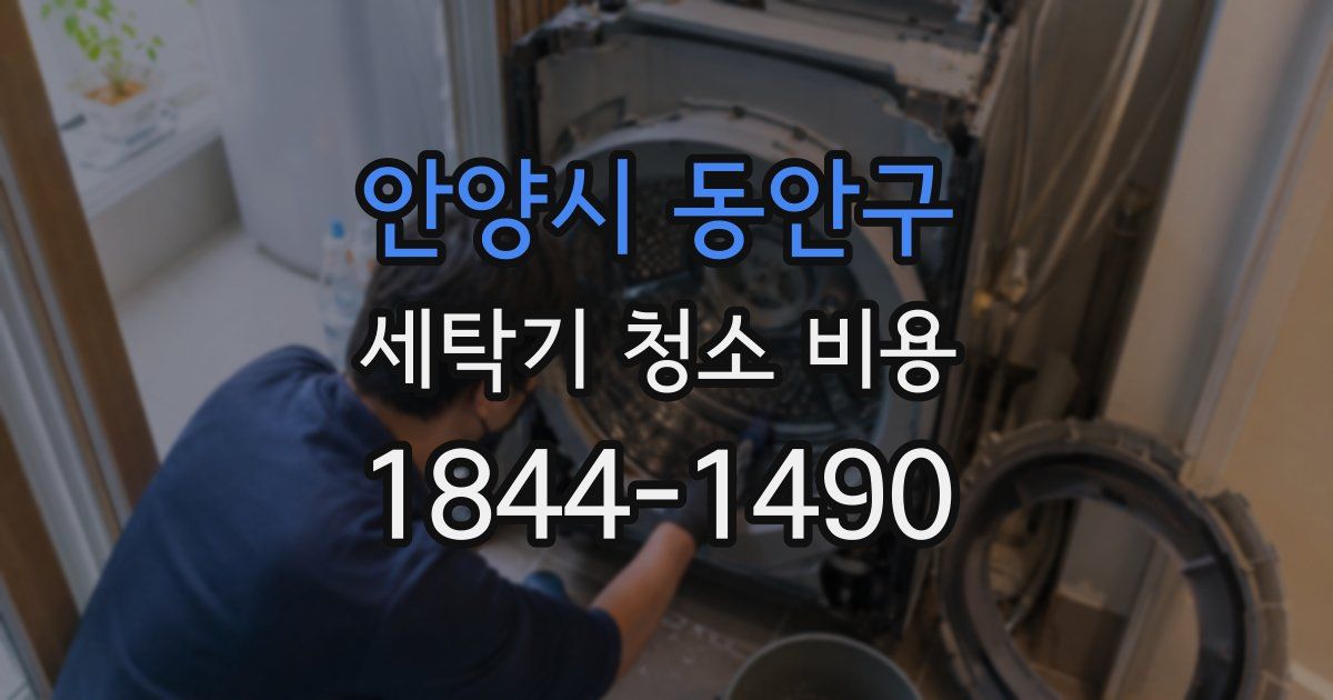 안양시 동안구 세탁기 청소 비용