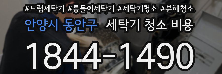 안양시 동안구 세탁기 청소 비용