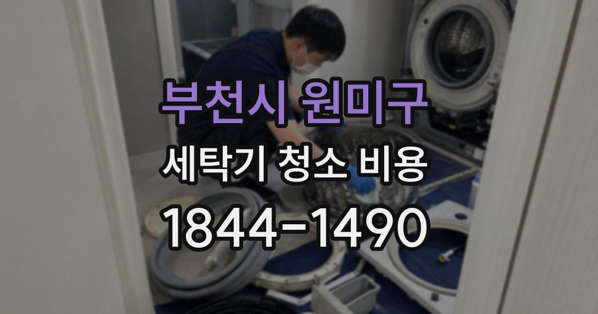 부천시 원미구 세탁기 청소 비용