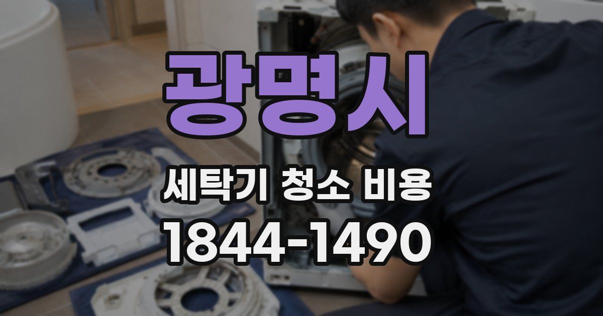 광명시 세탁기 청소 비용