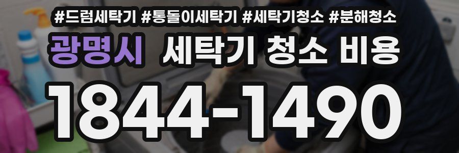 광명시 세탁기 청소 비용