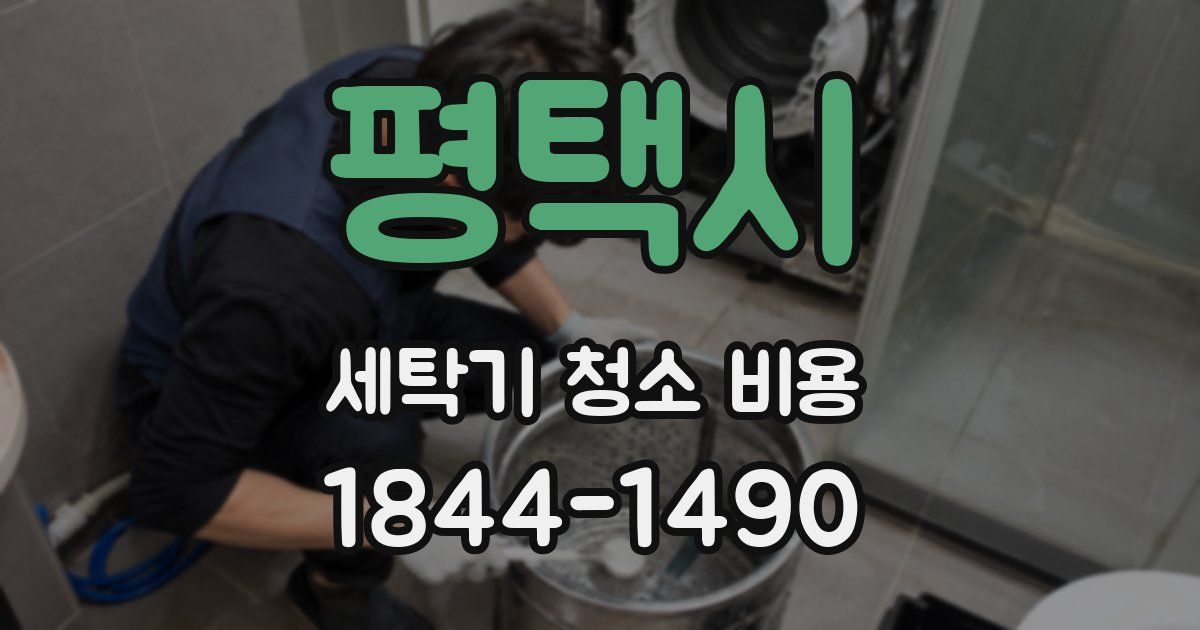평택시 세탁기 청소 비용