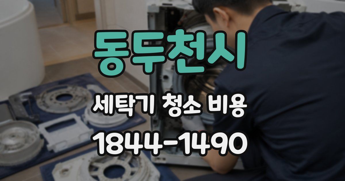 동두천시 세탁기 청소 비용