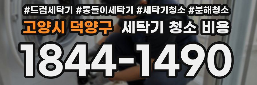 고양시 덕양구 세탁기 청소 비용