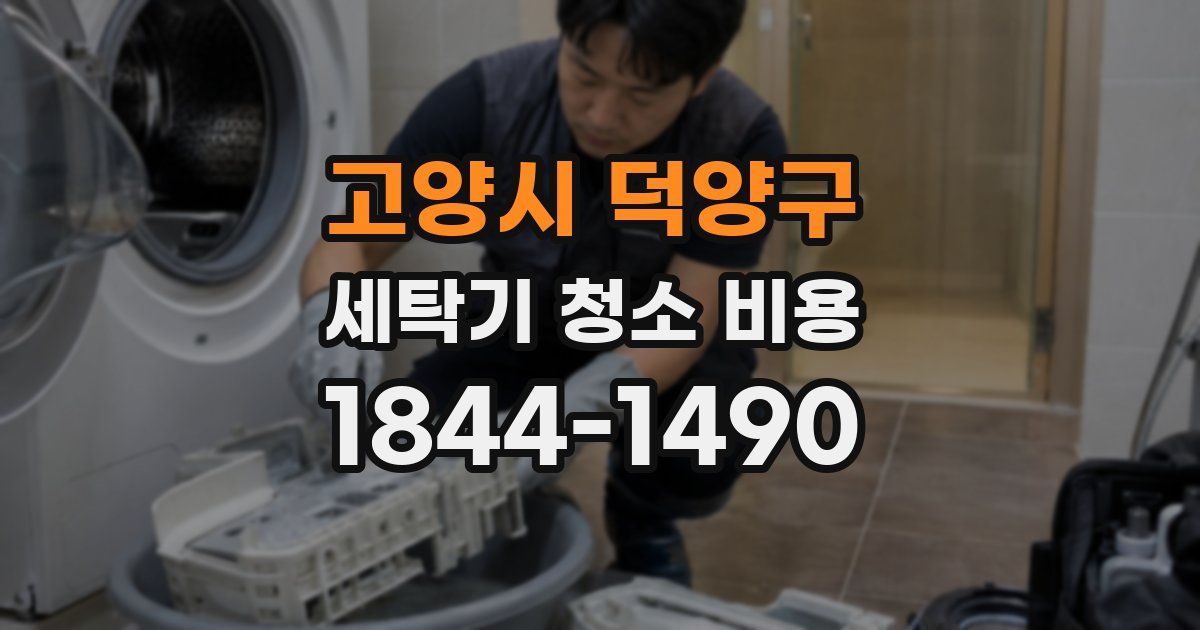 고양시 덕양구 세탁기 청소 비용