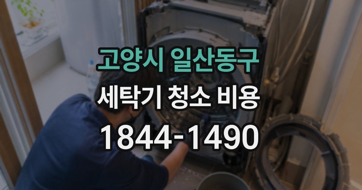 고양시 일산동구 세탁기 청소 비용