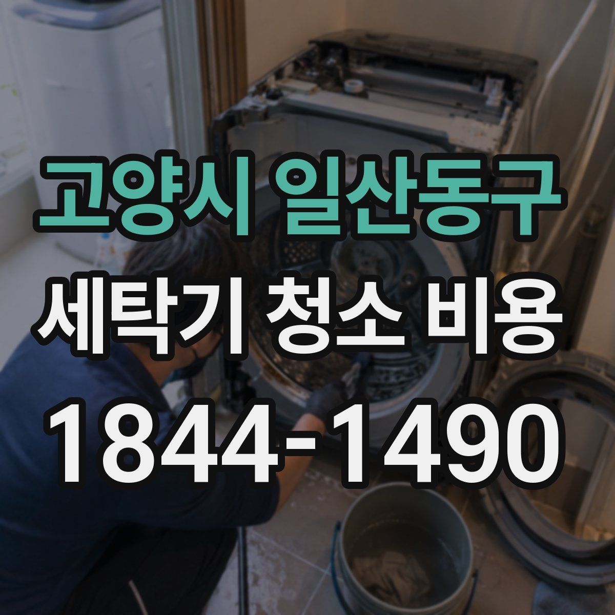고양시 일산동구 세탁기 청소 비용