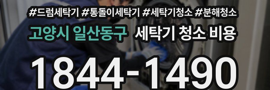 고양시 일산동구 세탁기 청소 비용