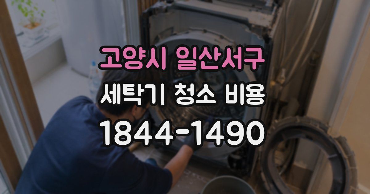 고양시 일산서구 세탁기 청소 비용
