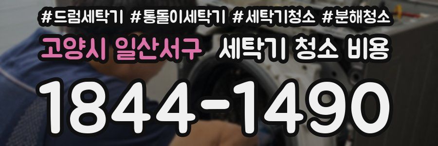 고양시 일산서구 세탁기 청소 비용