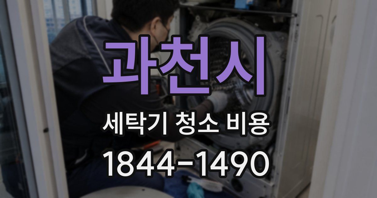 과천시 세탁기 청소 비용