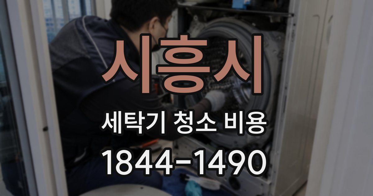 시흥시 세탁기 청소 비용