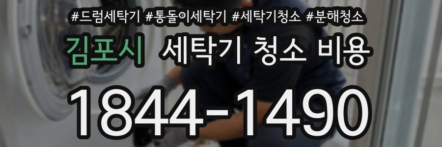 김포시 세탁기 청소 비용