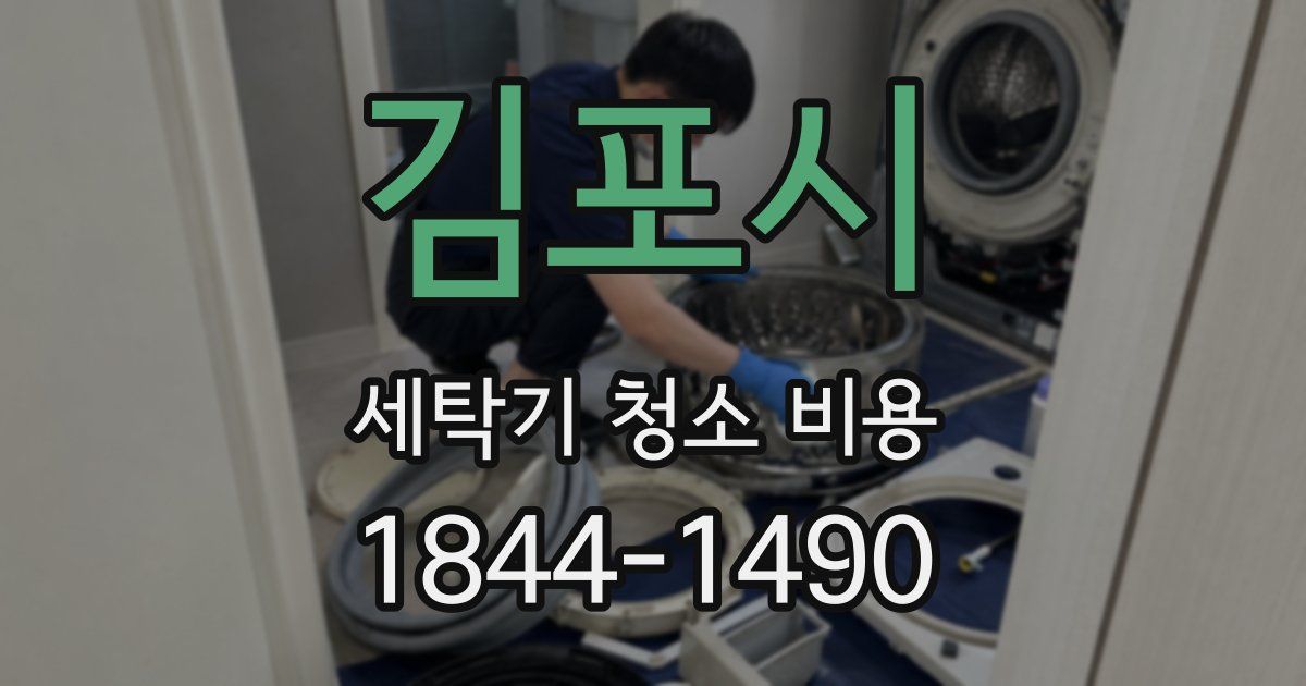 김포시 세탁기 청소 비용