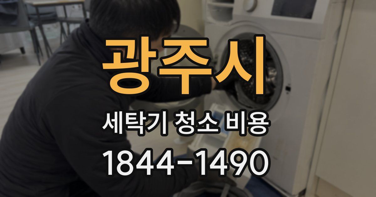 광주시 세탁기 청소 비용