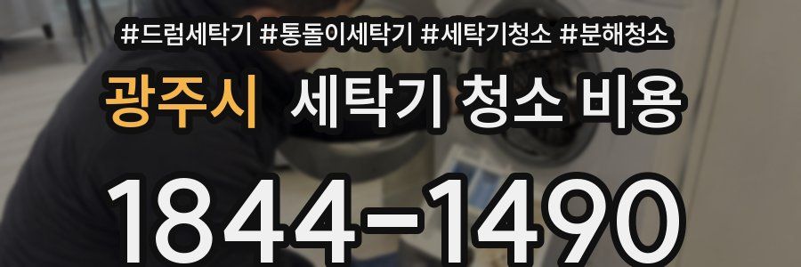 광주시 세탁기 청소 비용
