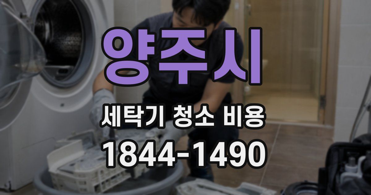 양주시 세탁기 청소 비용