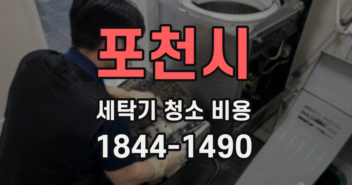 포천시 세탁기 청소 비용