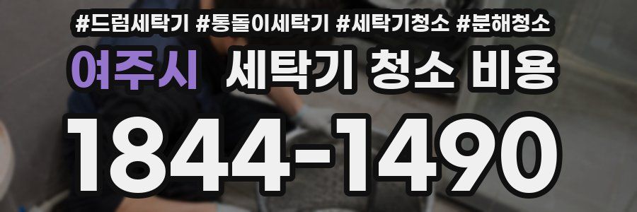 여주시 세탁기 청소 비용