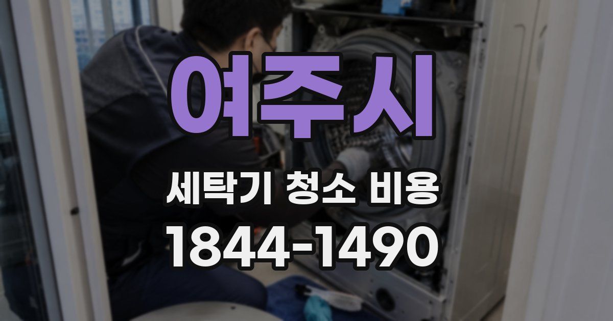 여주시 세탁기 청소 비용