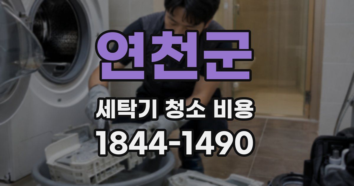 연천군 세탁기 청소 비용