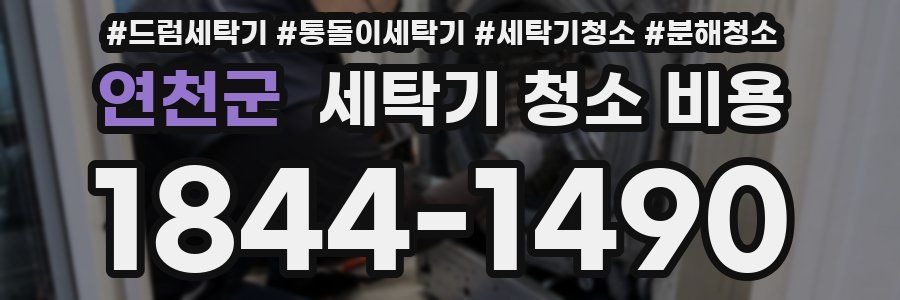 연천군 세탁기 청소 비용