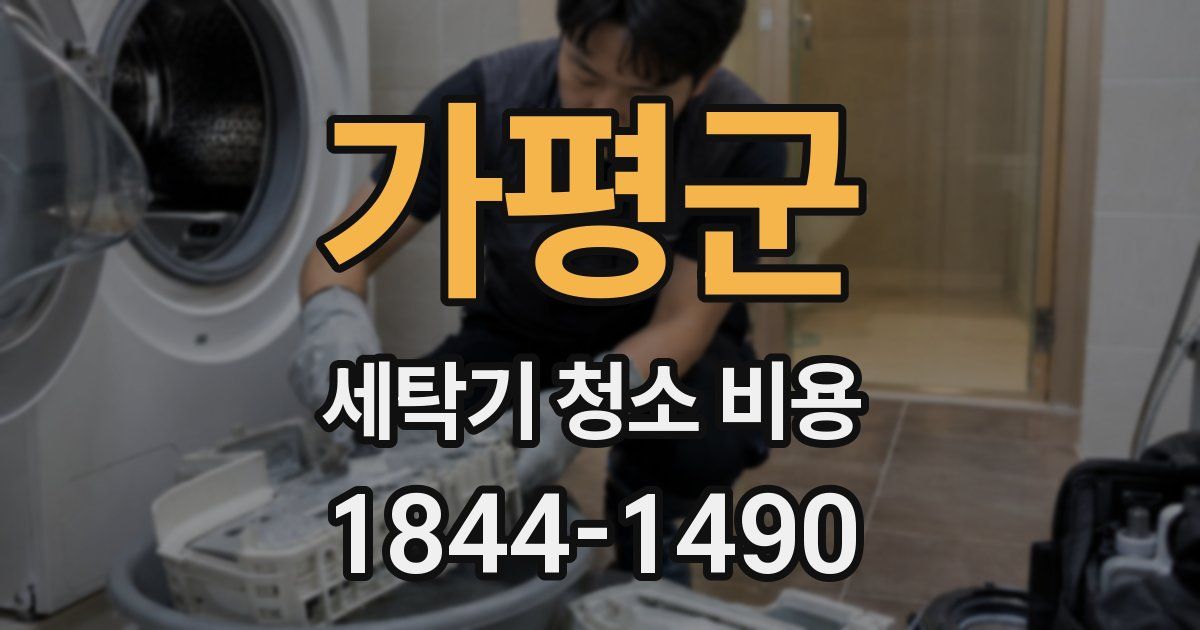 가평군 세탁기 청소 비용