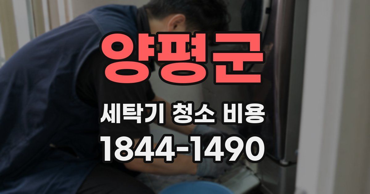 양평군 세탁기 청소 비용