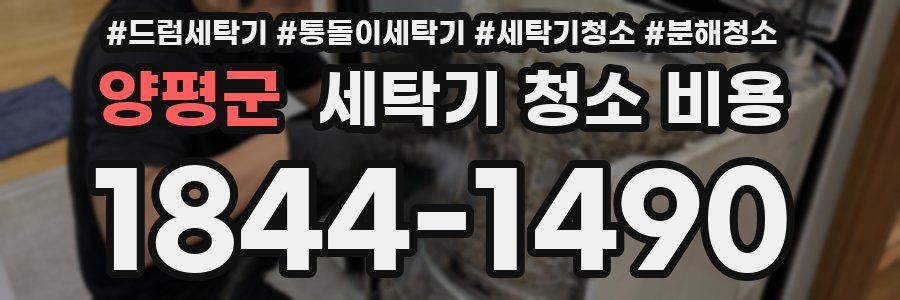 양평군 세탁기 청소 비용