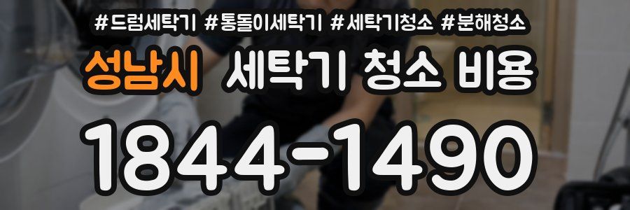 성남시 세탁기 청소 비용