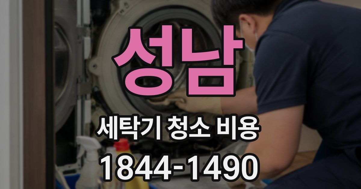 성남 세탁기 청소 비용