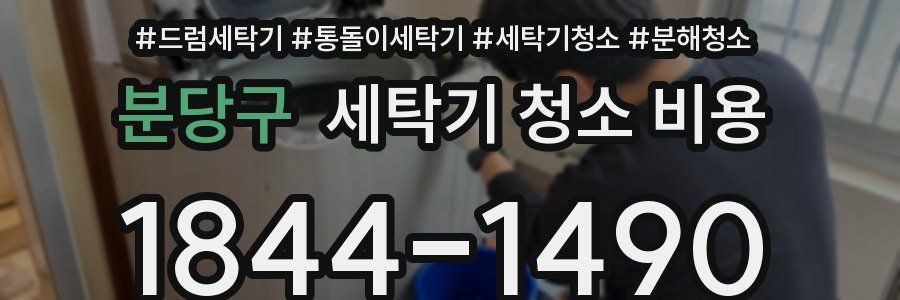 분당구 세탁기 청소 비용