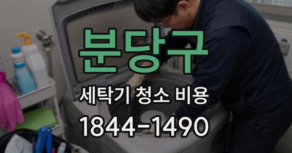 분당구 세탁기 청소 비용