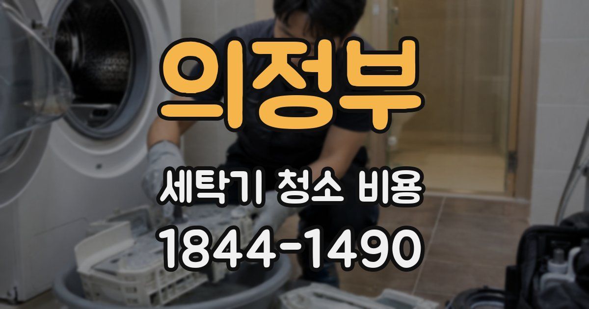 의정부 세탁기 청소 비용