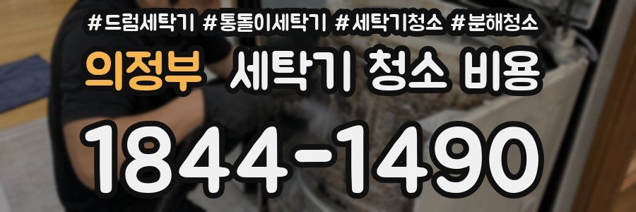 의정부 세탁기 청소 비용
