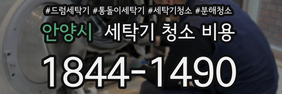 안양시 세탁기 청소 비용
