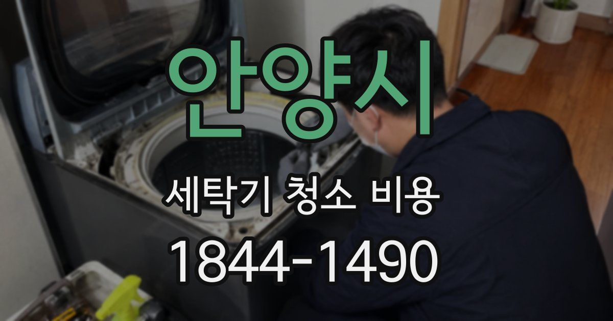 안양시 세탁기 청소 비용