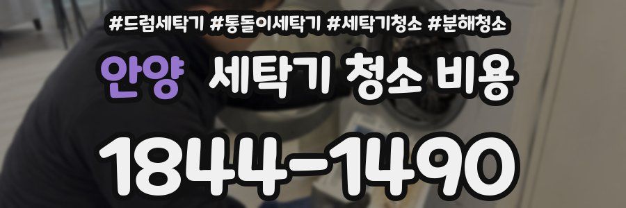 안양 세탁기 청소 비용