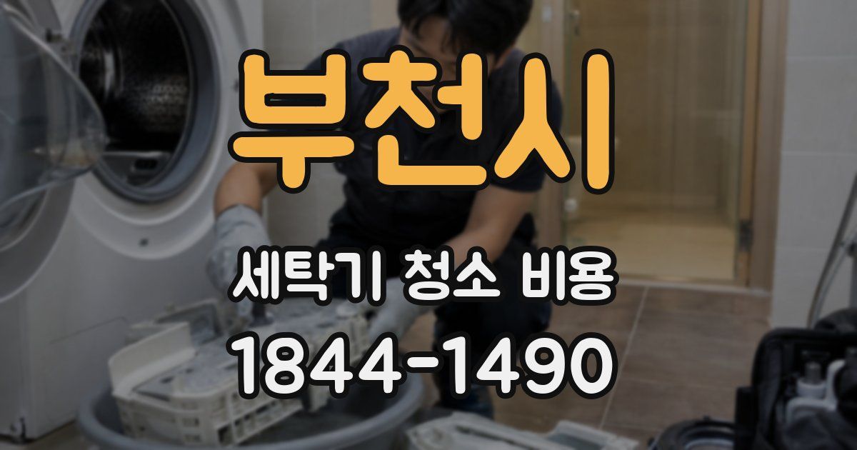 부천시 세탁기 청소 비용