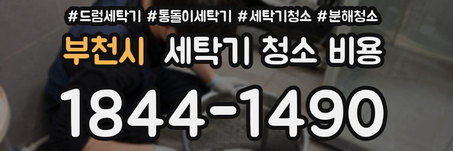 부천시 세탁기 청소 비용