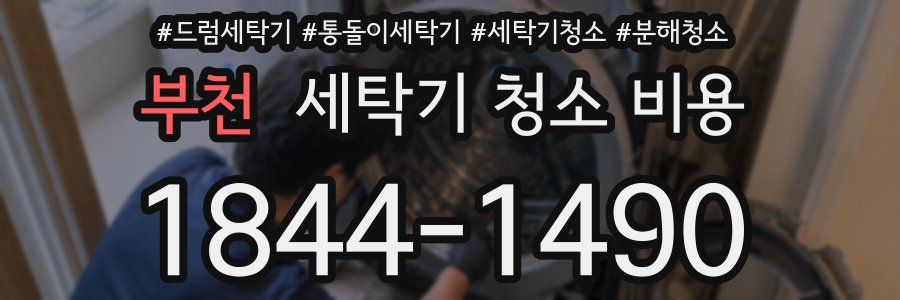 부천 세탁기 청소 비용