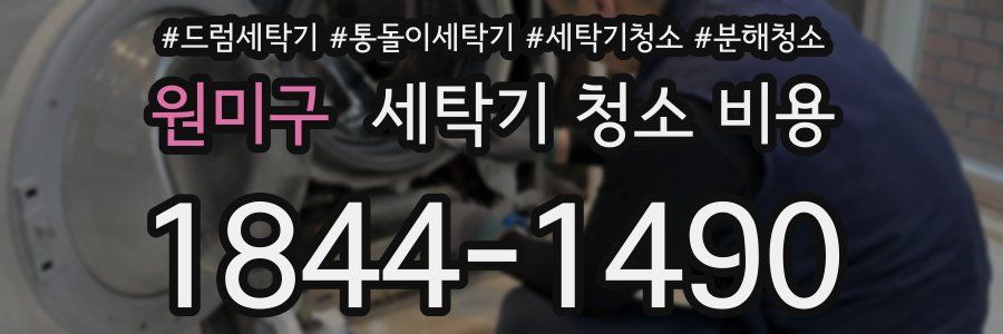 원미구 세탁기 청소 비용