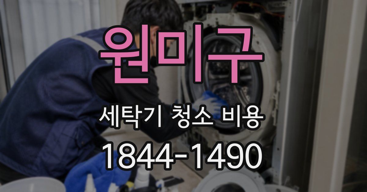원미구 세탁기 청소 비용