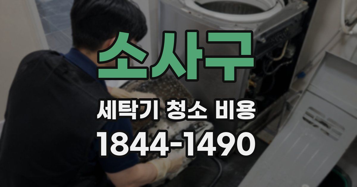소사구 세탁기 청소 비용