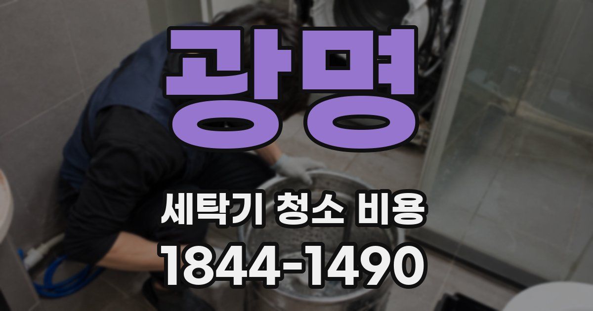 광명 세탁기 청소 비용
