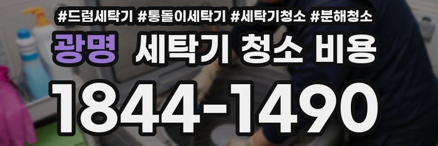 광명 세탁기 청소 비용