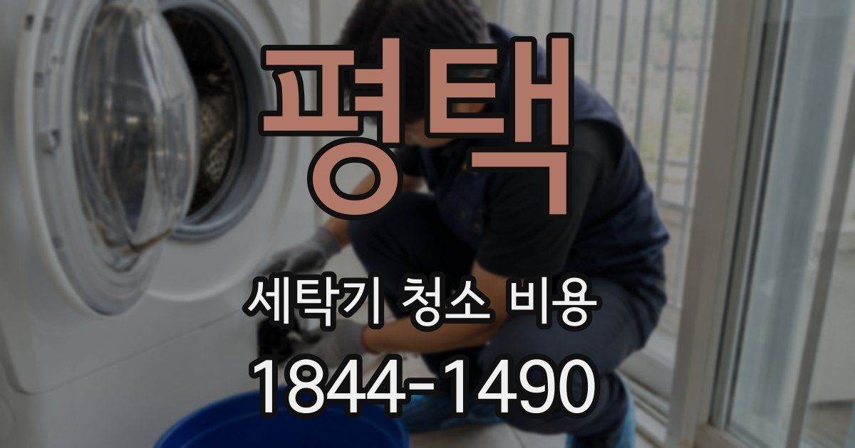 평택 세탁기 청소 비용