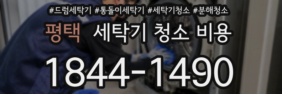 평택 세탁기 청소 비용