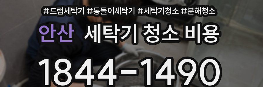 안산 세탁기 청소 비용
