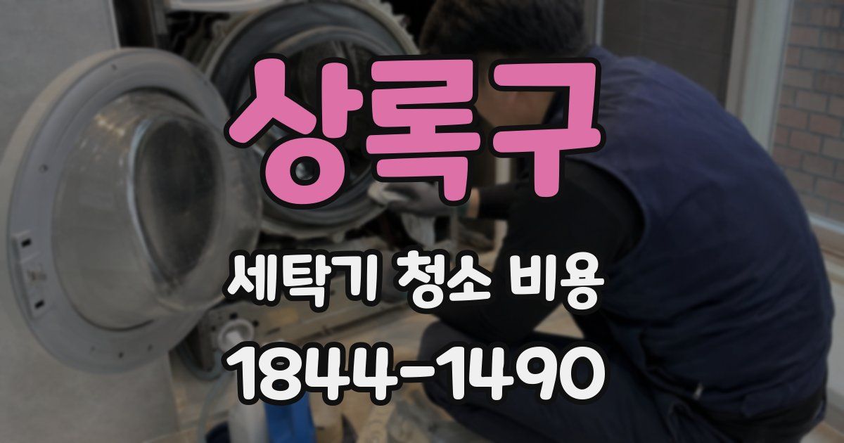 상록구 세탁기 청소 비용